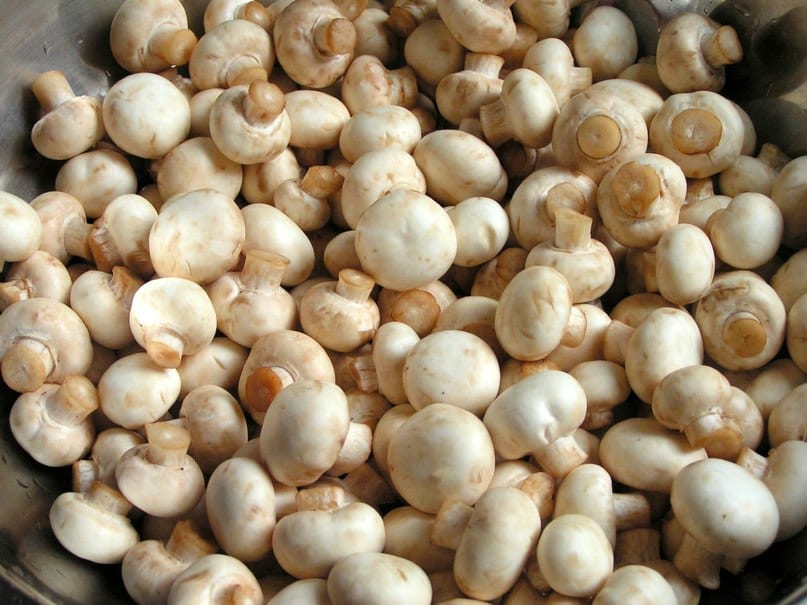 Маринованные грибы на зиму: рецепт вкусных шампиньонов (Фото)