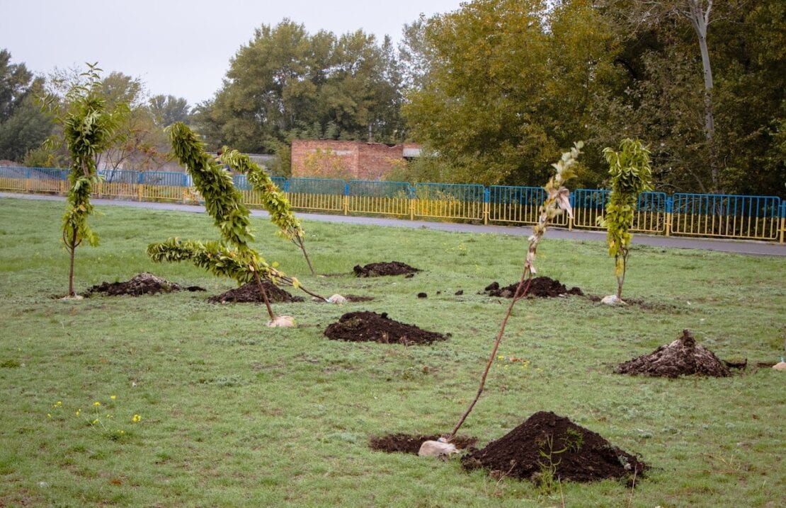 Дніпро-квітучий: на житлових масивах Покровський та Червоний камінь висадили 70 молодих дерев 