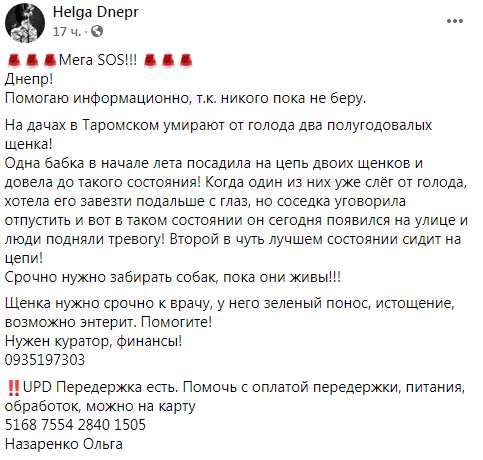 В Таромском умирают от голода два щенка. Новости Днепра