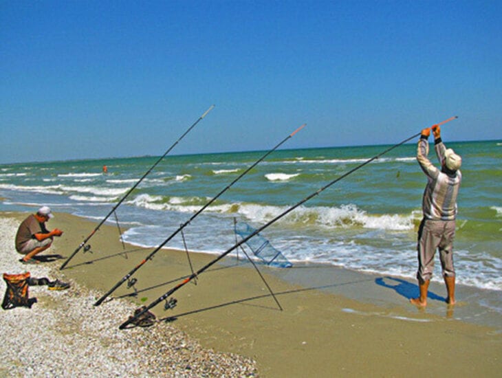 Какая рыба водится в азовском море список фото с названиями