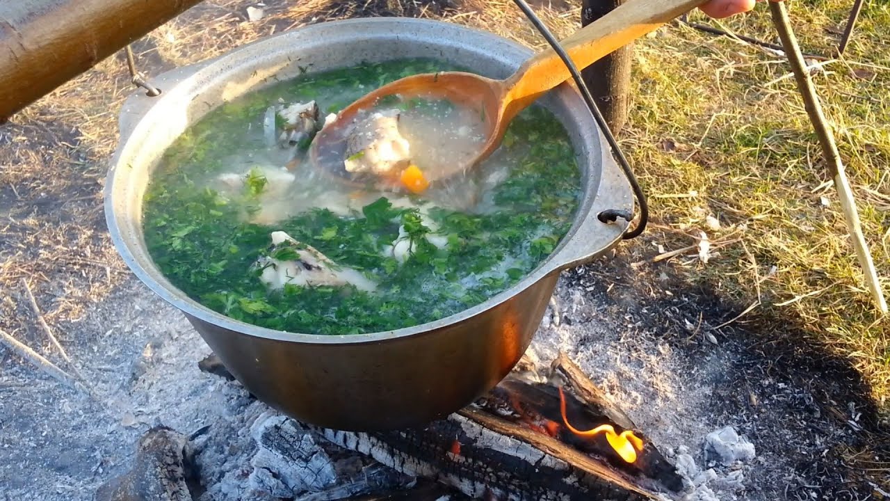 Уха в казане на костре: простой и вкусный рецепт