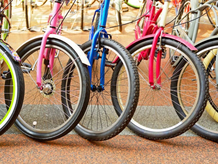 Днепровские школьницы разрабатывают проекты экологических велостанций для города