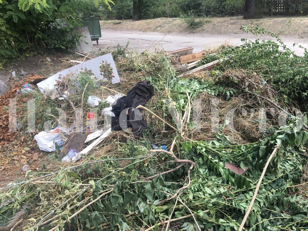 В Днепре в Новокодакском районе коммунальщики ликвидировали стихийную свалку