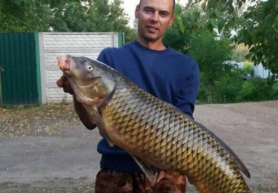 Под Днепром рыбак поймал огромного сазана (Фото). Новости Днепра