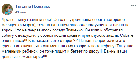 Под Днепром мужчина расстрелял соседскую собаку