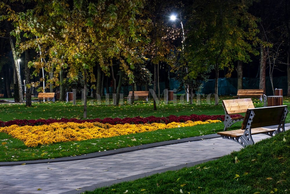 Как выглядит обновленная аллея в парке им. Писаржевского. Новости Днепра