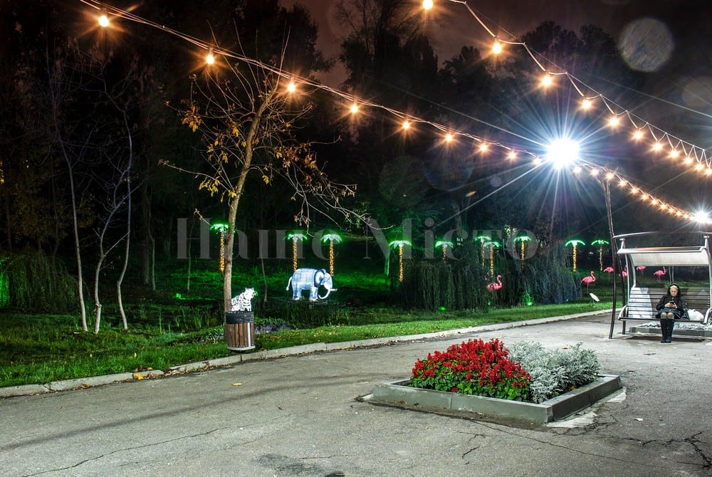 Ночью в Зеленом Гаю оживают сказки (Фоторепортаж)