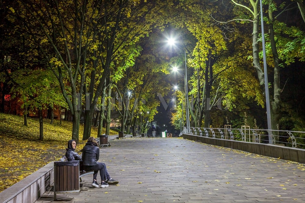 Ночью в Зеленом Гаю оживают сказки (Фоторепортаж)