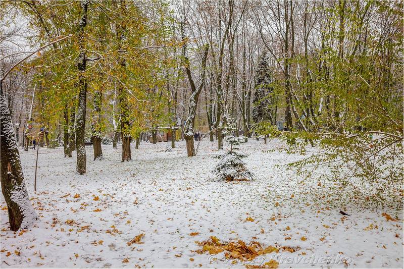 Первый снег в Днепре: фото в парке Шевченко. Новости Днепра