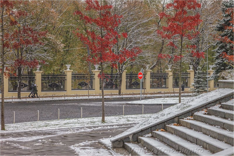 Первый снег в Днепре: фото в парке Шевченко. Новости Днепра