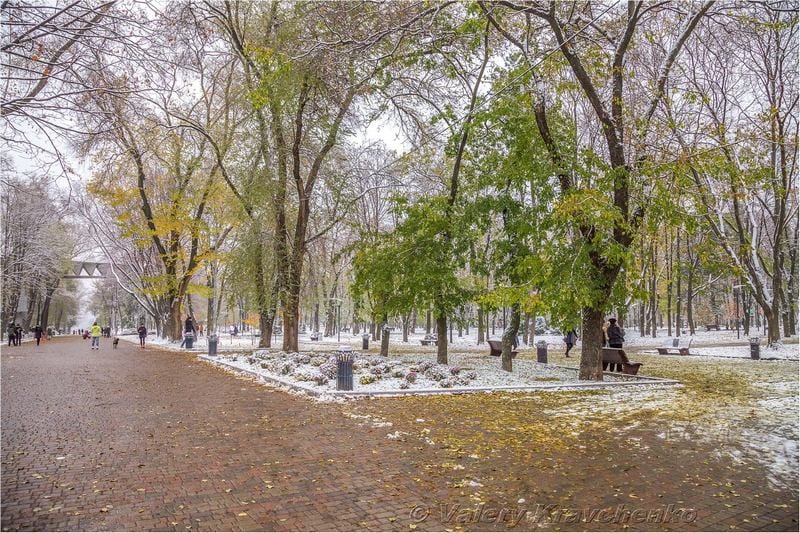 Первый снег в Днепре: фото в парке Шевченко. Новости Днепра