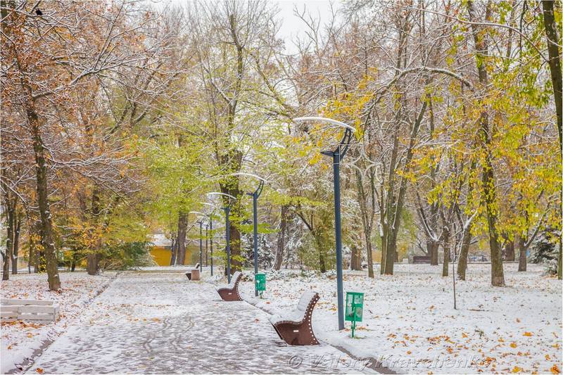 Первый снег в Днепре: фото в парке Шевченко. Новости Днепра