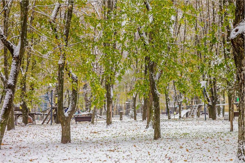 Первый снег в Днепре: фото в парке Шевченко. Новости Днепра