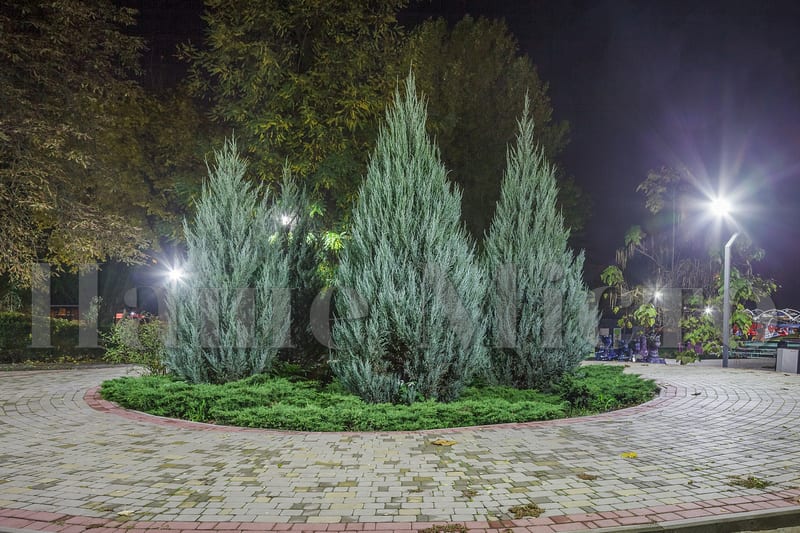 Осень в ночном парке "Новокодакский" в Днепре. Новости Днепра