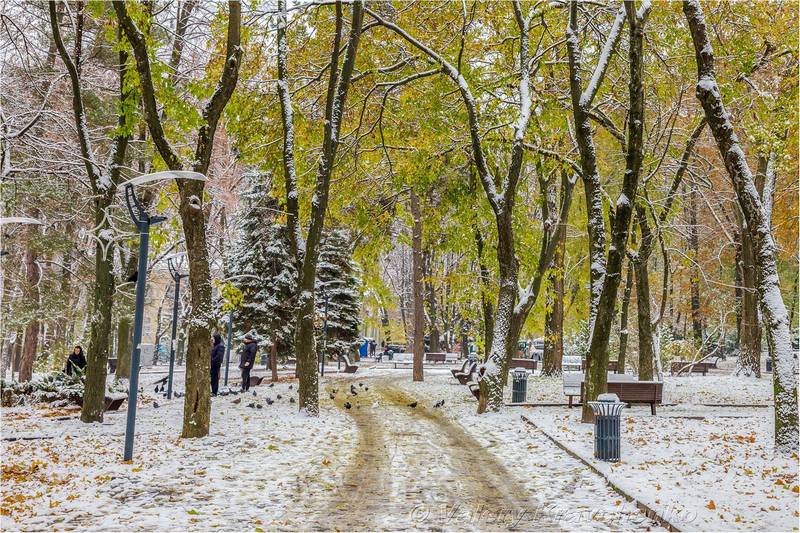 Первый снег в Днепре: фото в парке Шевченко. Новости Днепра