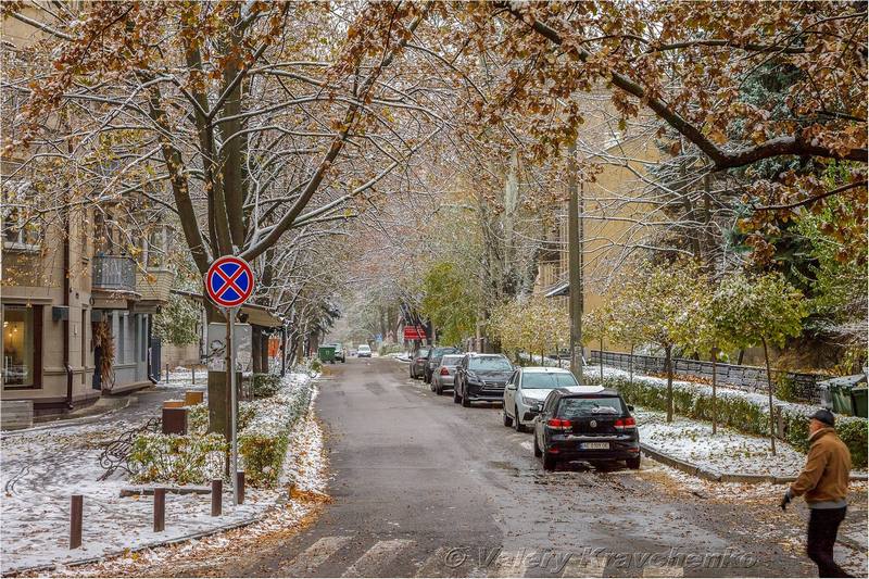 Первый снег в Днепре: фото в парке Шевченко. Новости Днепра