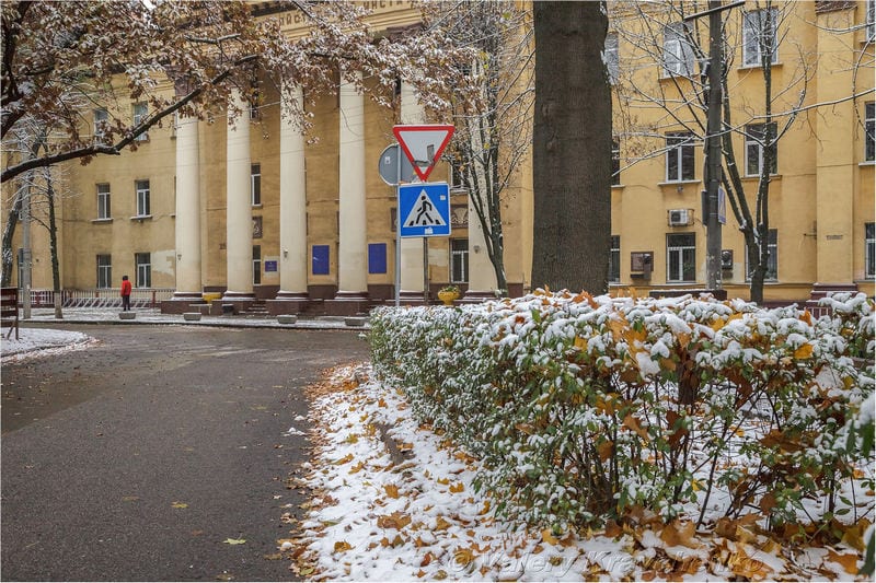 Первый снег в Днепре: фото в парке Шевченко. Новости Днепра