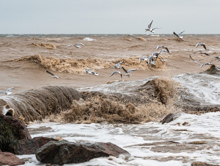 На Азовском море бушует непогода (Фото)