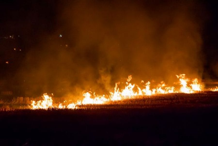 Дым видно за несколько километров: под Днепром горит поле (Видео)