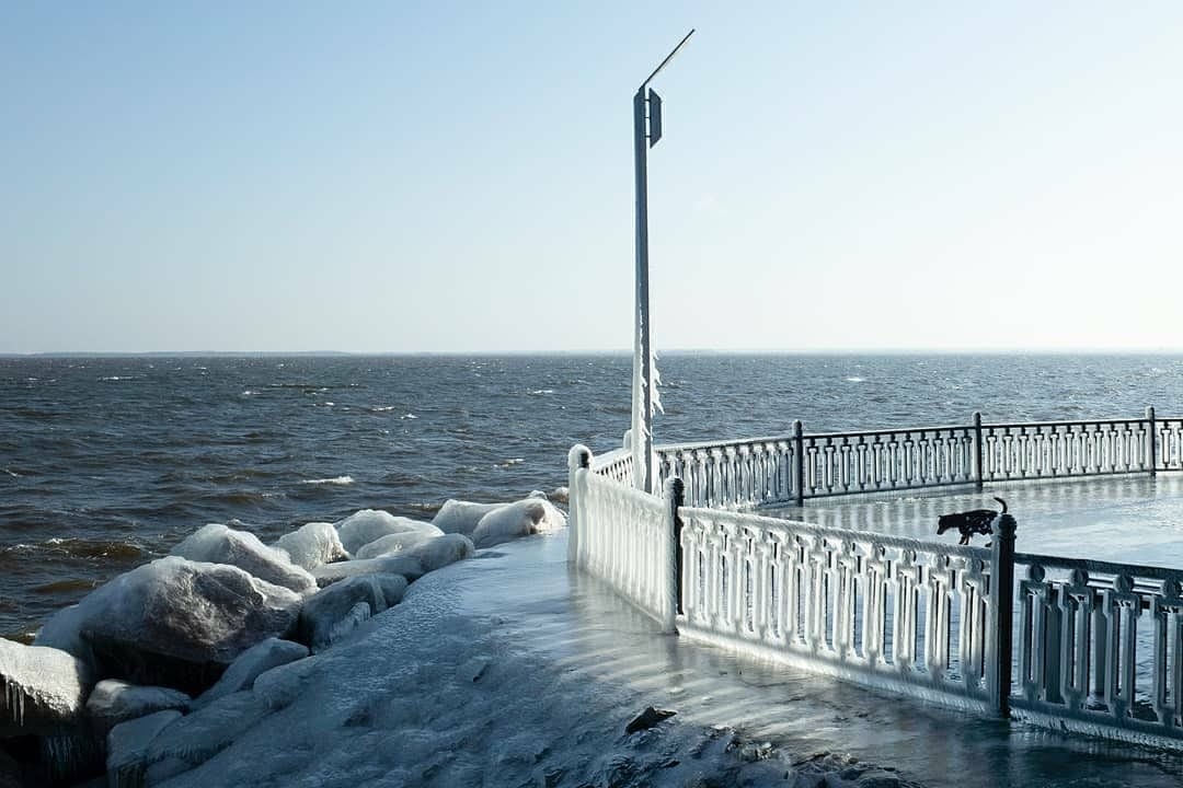 Ледяное королевство: невероятное явление природы на Каховском водохранилище (Фото)