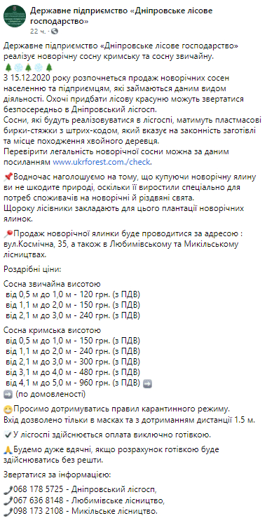 В Днепровском лесхозе стартовали продажи елок: цены и график работы