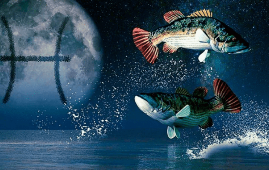 Гороскоп на 2021 год для Рыб: поймают дзен