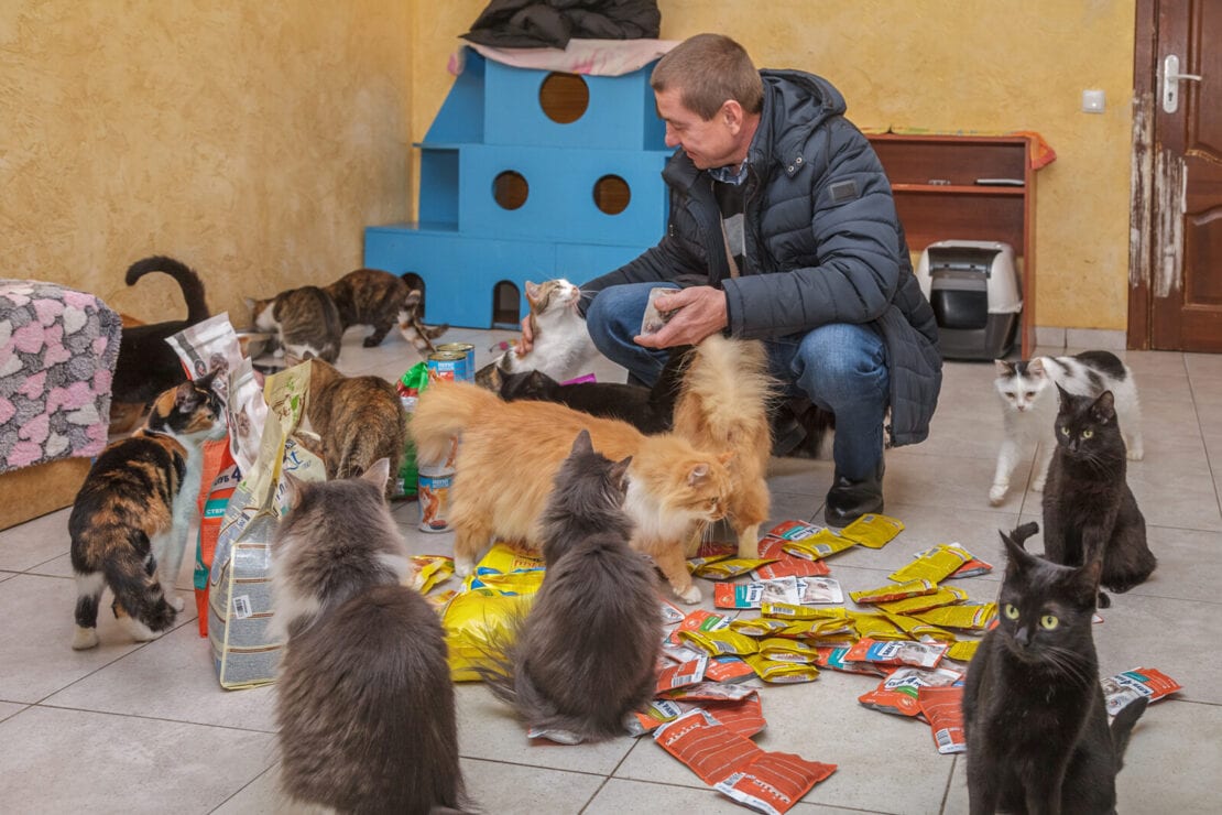 Самый добрый репортаж: журналисты «НМ» прошли кототерапию в приюте "Dnipro animals"