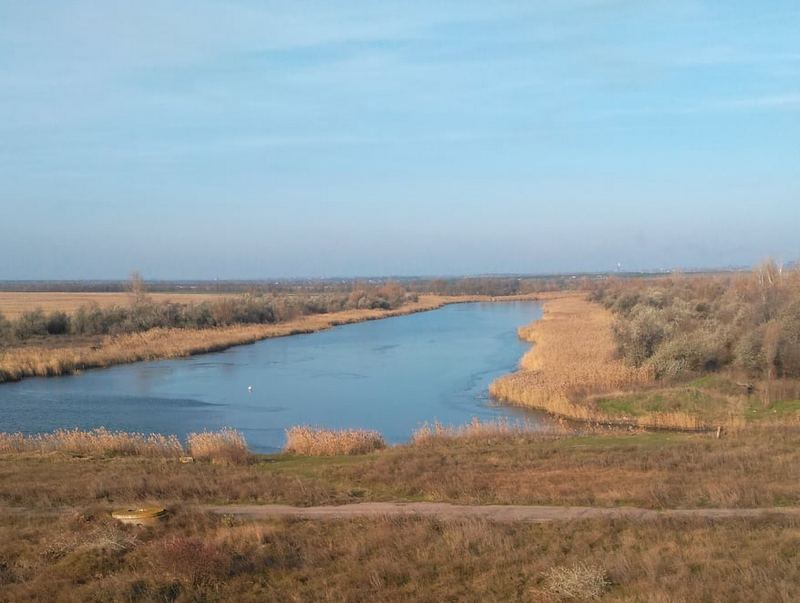 Под Днепром большая семья не бросила сородича, вмерзшего в лед