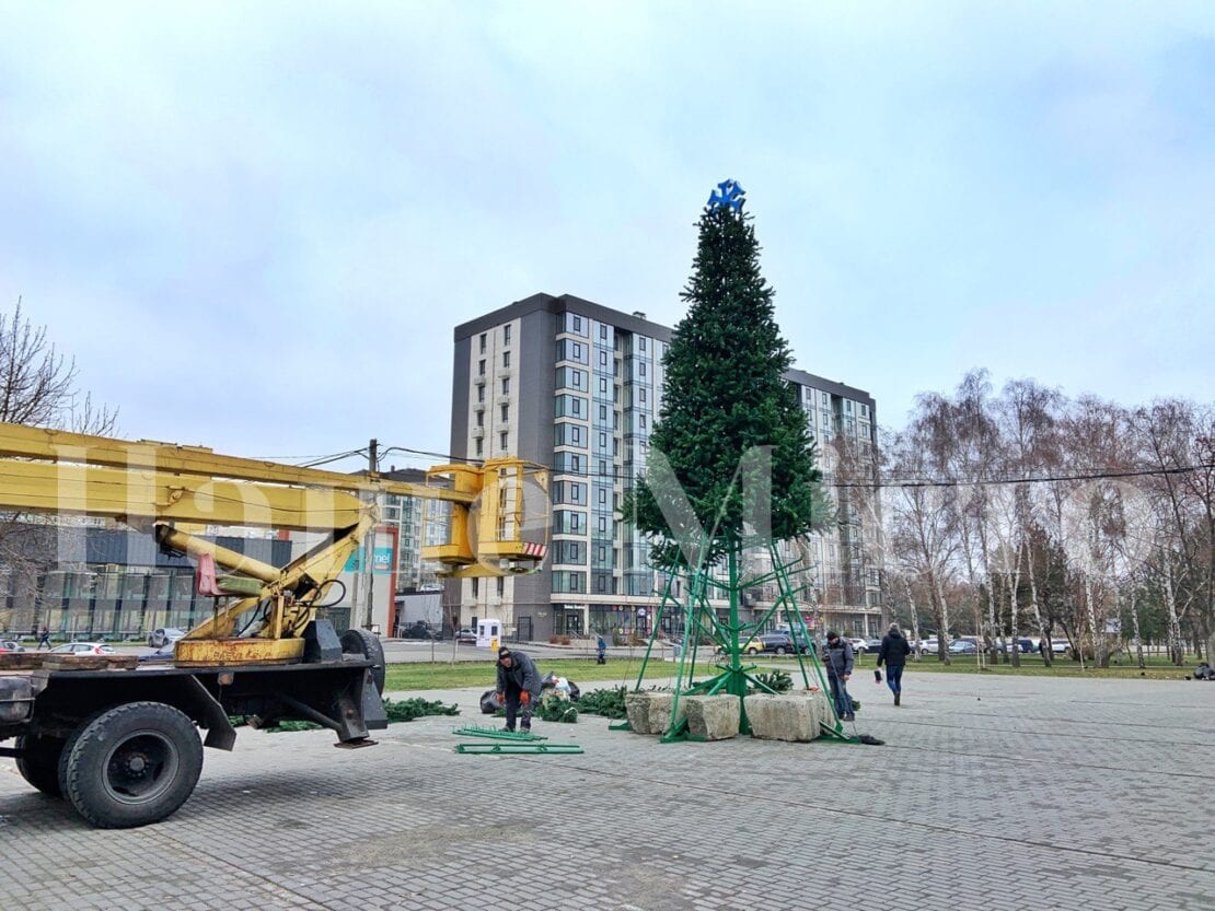 В Днепре на Победе установили новогоднюю елку (Фото)