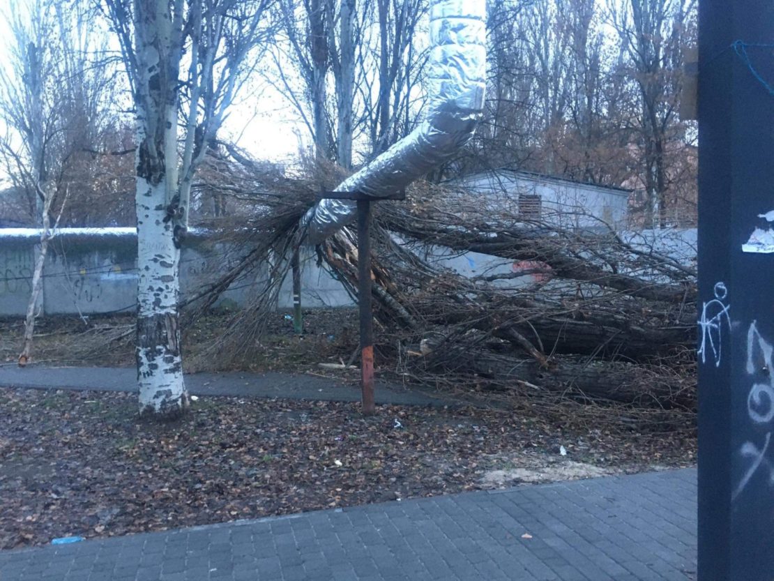 В Днепре возле школы огромное дерево рухнуло на теплотрассу (Фото)