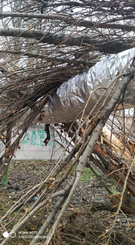 В Днепре возле школы огромное дерево рухнуло на теплотрассу (Фото)