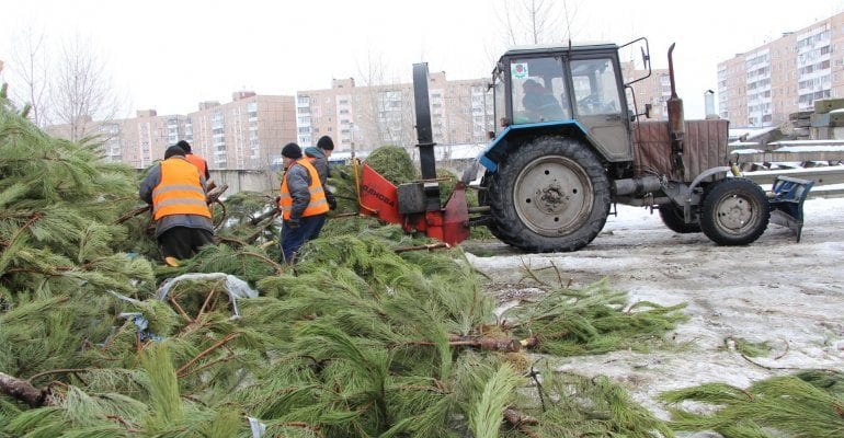 Куда сдать елку на утилизацию 2021 – новости Днепра