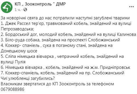 В новогодние выходные потерялось 7 собак - новости Днепра