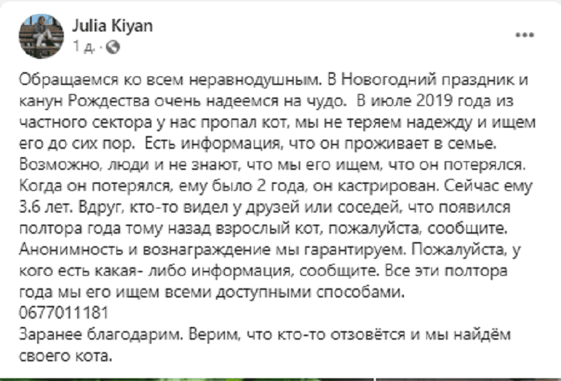 Под Днепром 1,5 года ищут кота – новости Днепра