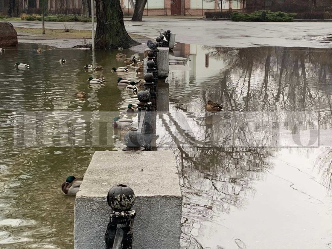 В Днепре в парке Глобы озеро снова вышло из берегов (Фото)