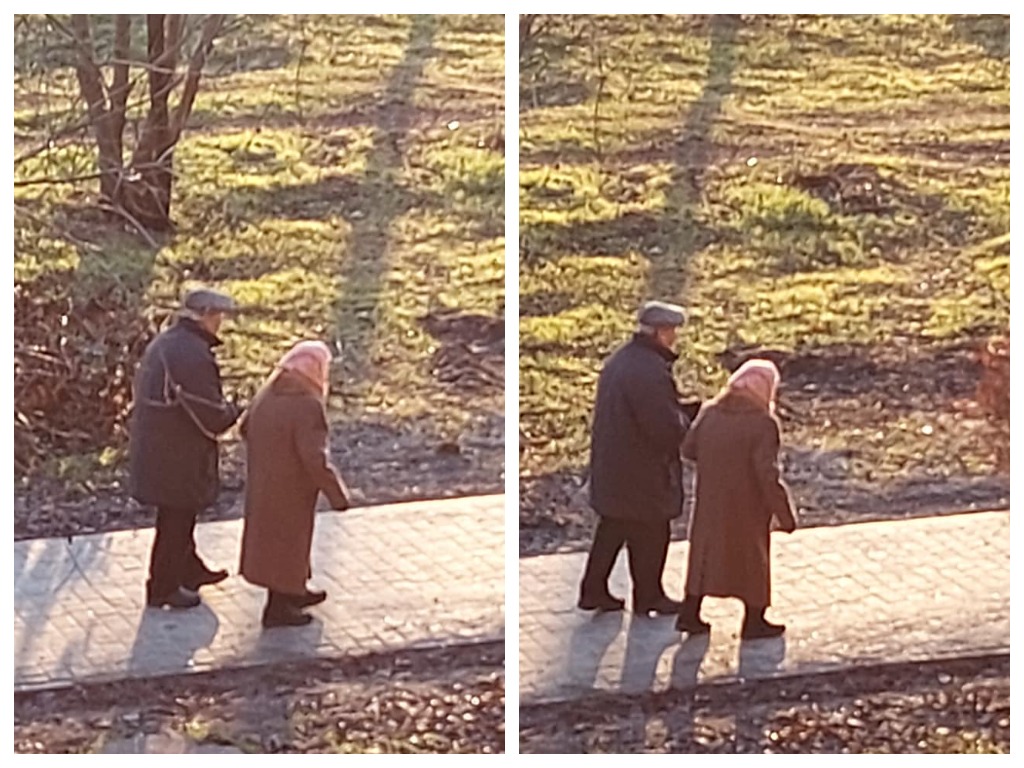 В Никополе заметили пару милых пенсионеров – новости Днепра