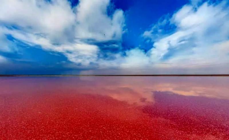 Розовое Озеро: в сети появились 3D-панорамы водоема