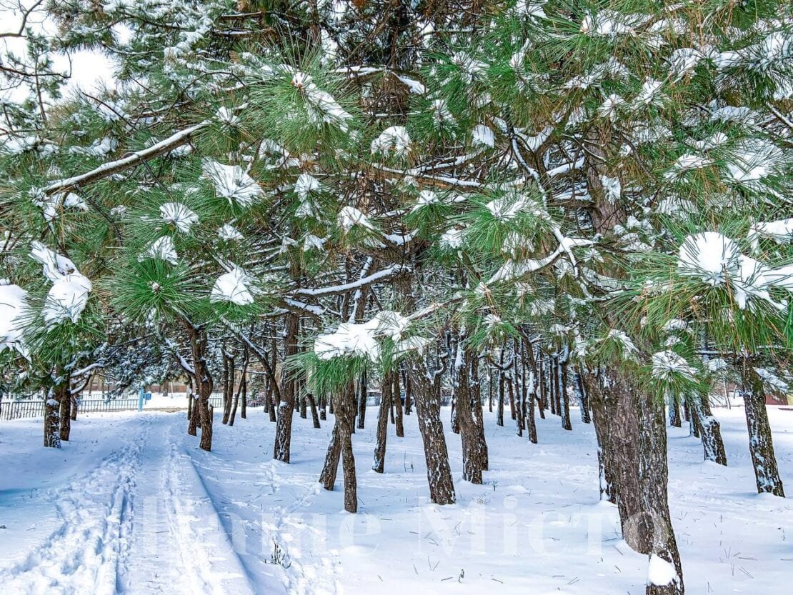 На белом покрывале января: снежное волшебство на Набережной Победы (Фоторепортаж)