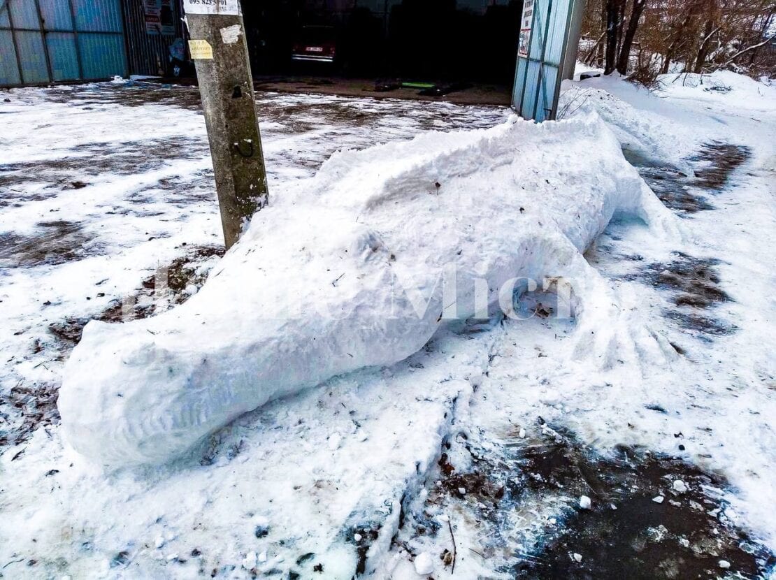 В Днепре на ж/м Покровский появился гигантский снежный крокодил (Фото, видео)