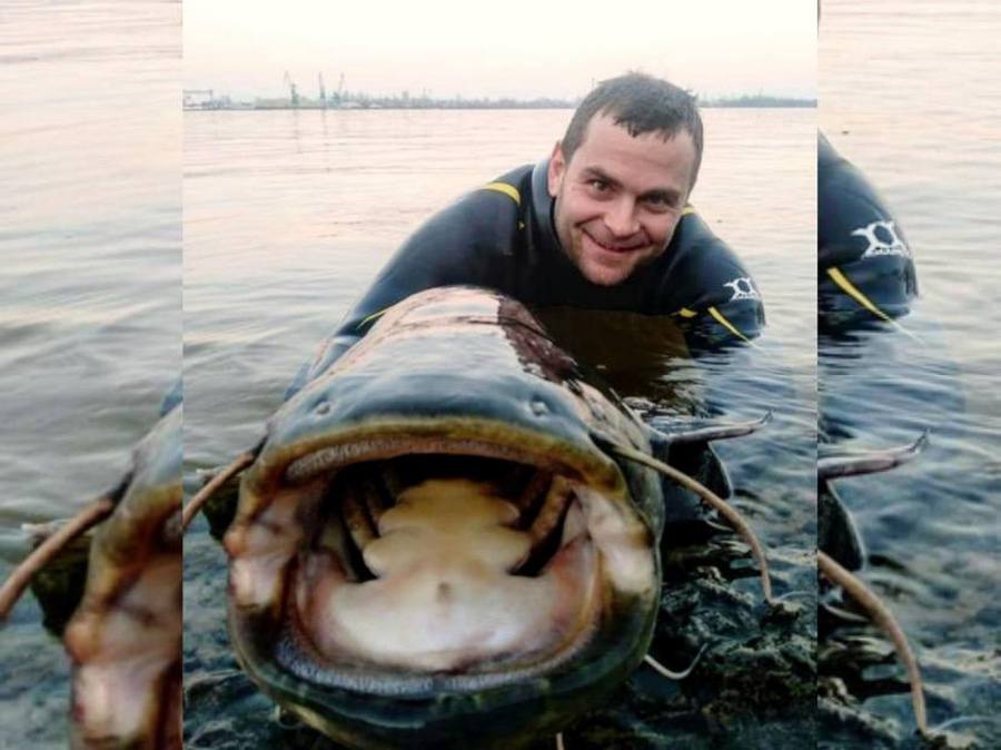 В Днепре рыбак голыми руками поймал гигантского сома (Фото)