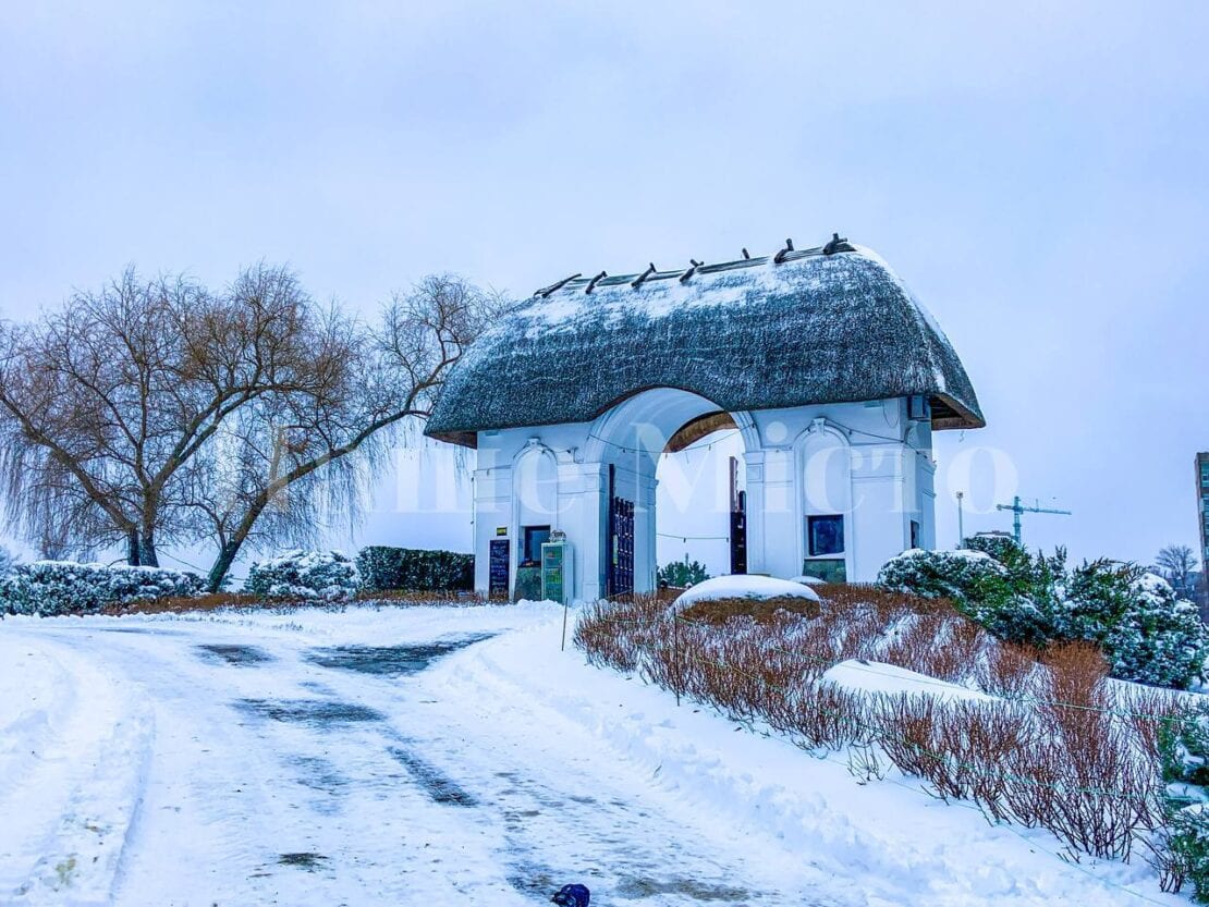 В Днепре зима преобразила яхт-клуб «Сич» (Фоторепортаж)