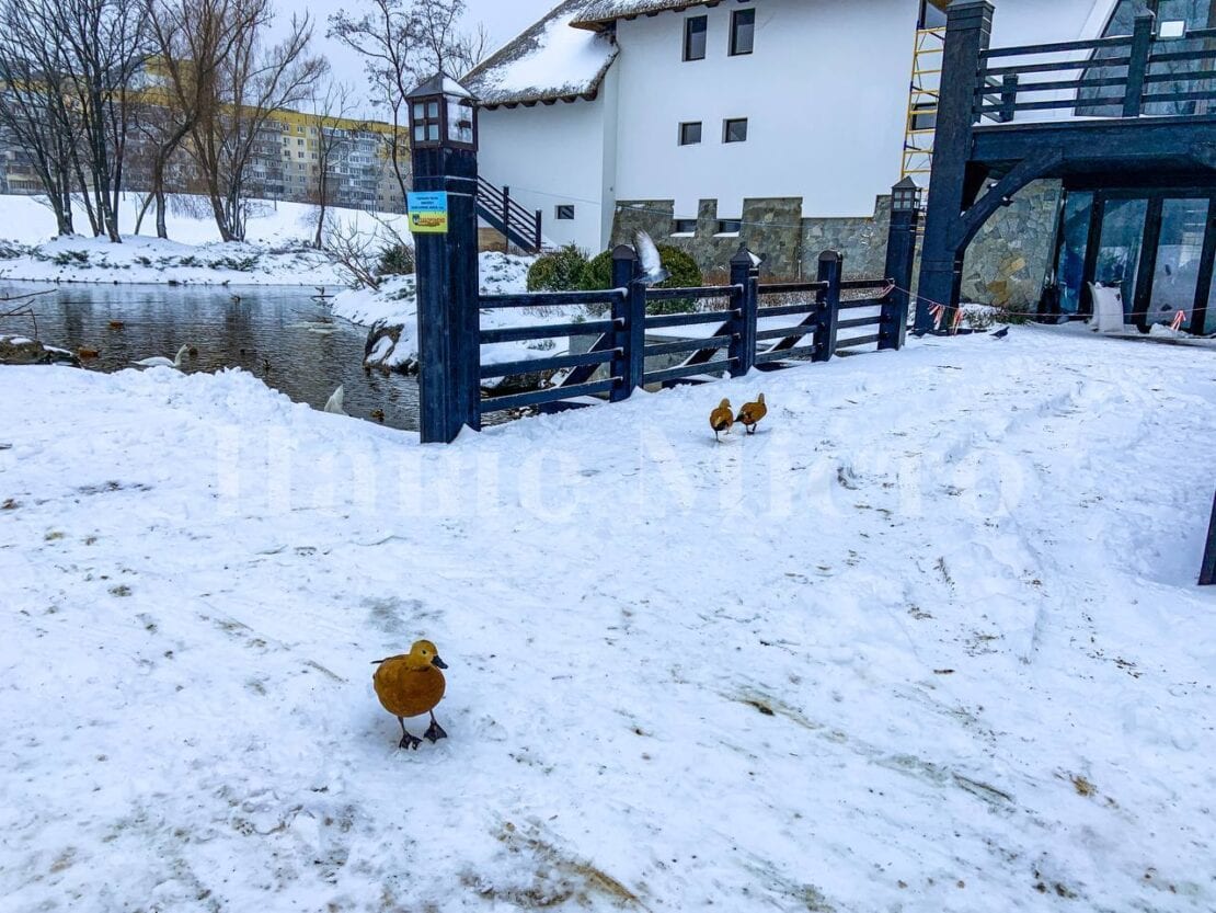 В Днепре зима преобразила яхт-клуб «Сич» (Фоторепортаж)