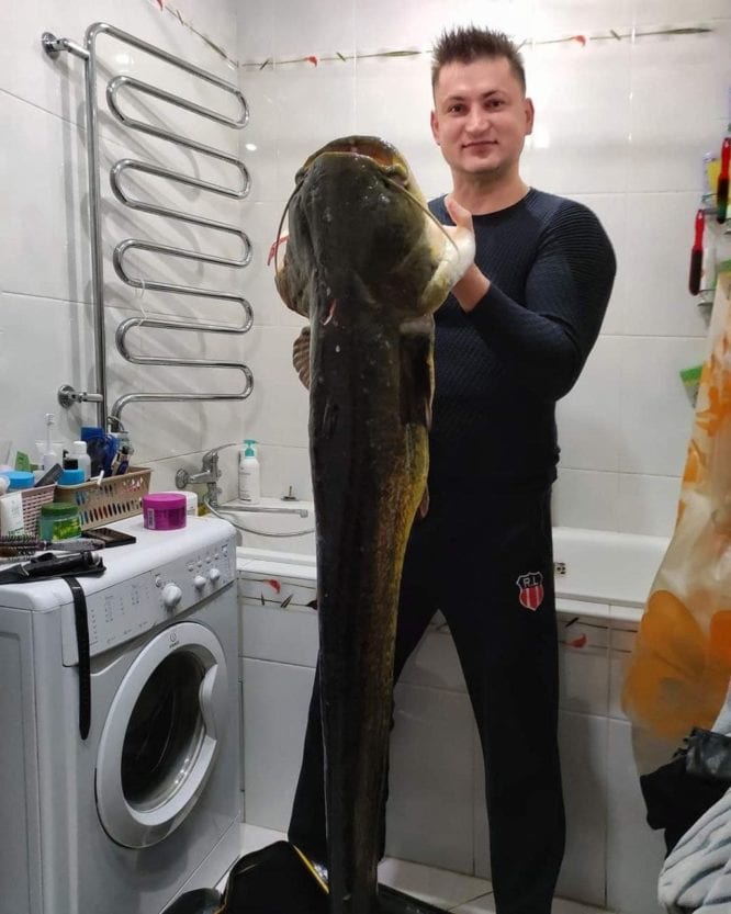 Рыбак поймал 23-килограммового сома – новости Днепра