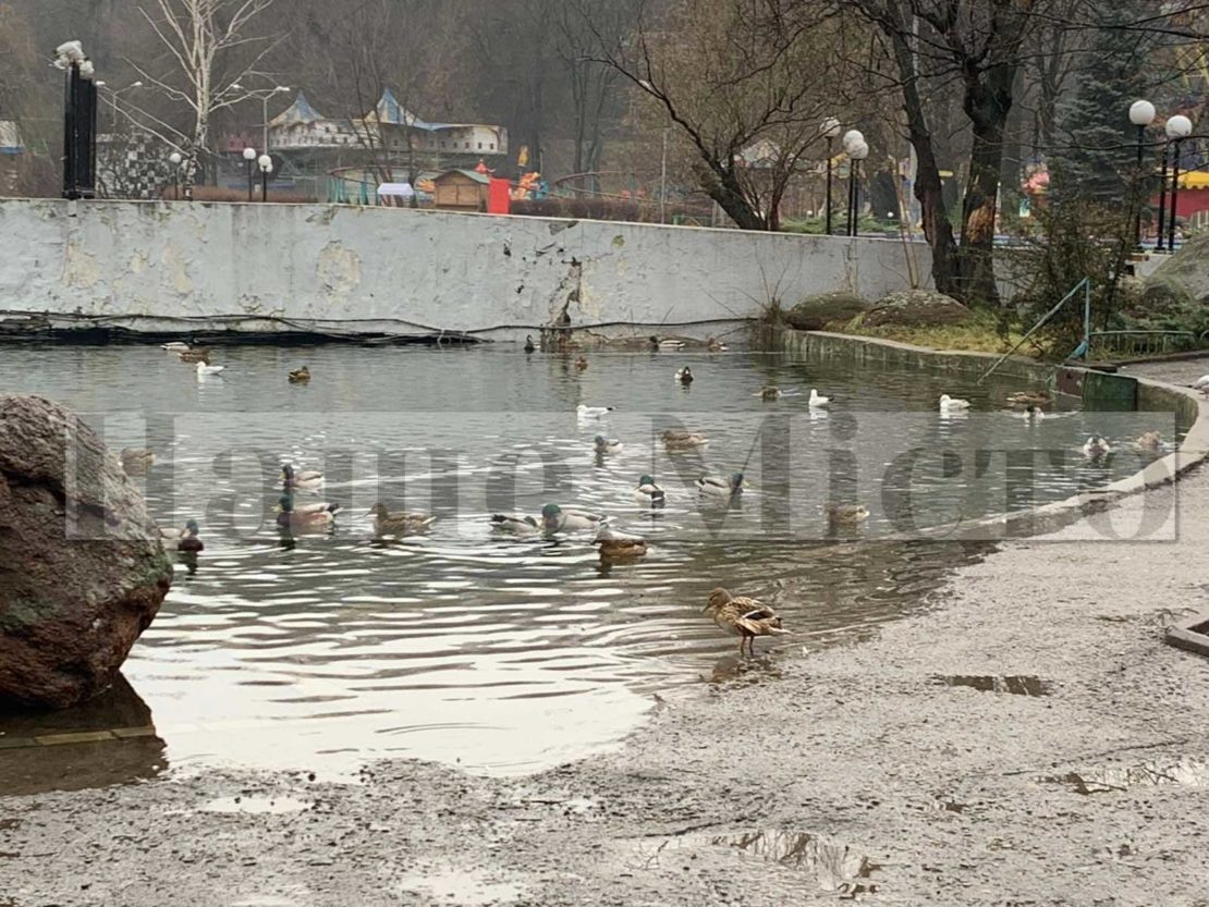 В Днепре в парке Глобы озеро снова вышло из берегов (Фото)