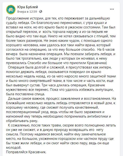 Лебедя спасли от холодной смерти – новости Днепра