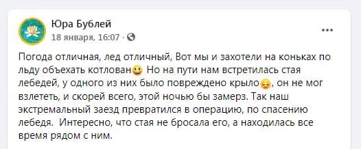 Лебедя спасли от холодной смерти – новости Днепра