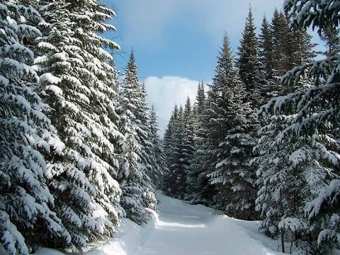 25 февраля, Алексей Рыбный: что нельзя делать, приметы и традиции