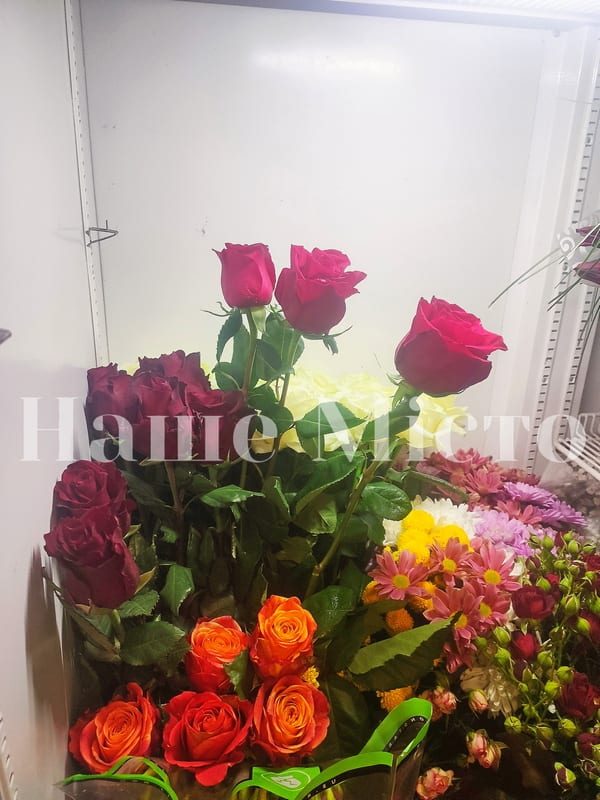 Сколько  стоят цветы на 14 февраля – новости Днепра