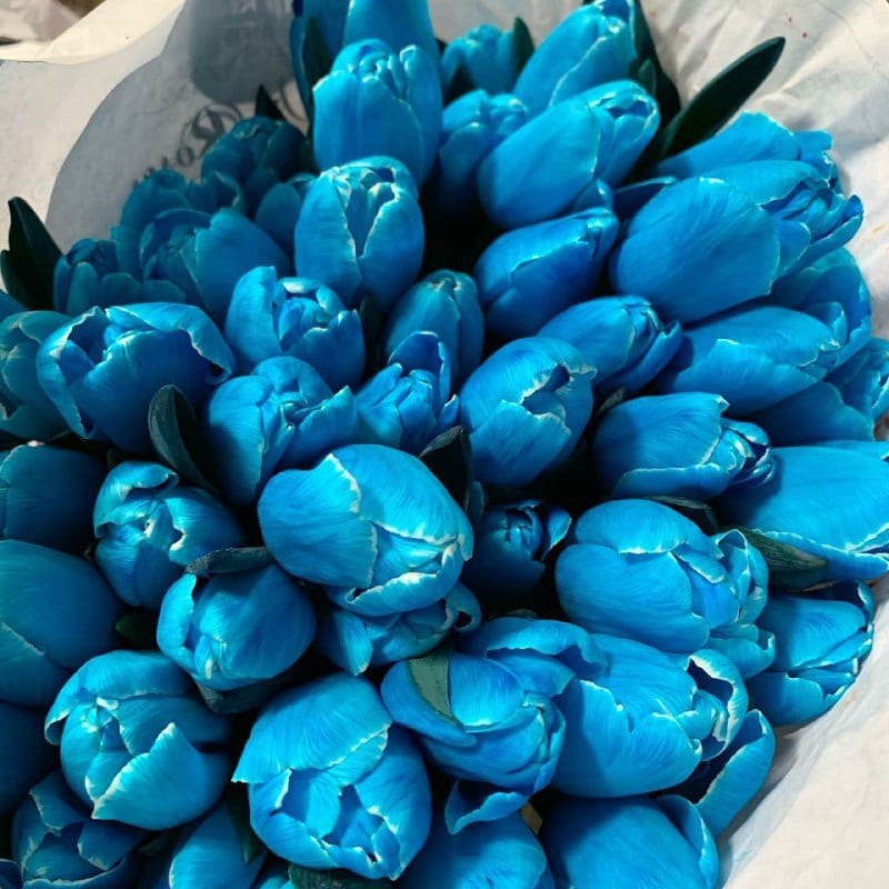 Какие цветы нужно дарить 14 февраля – новости Днепра