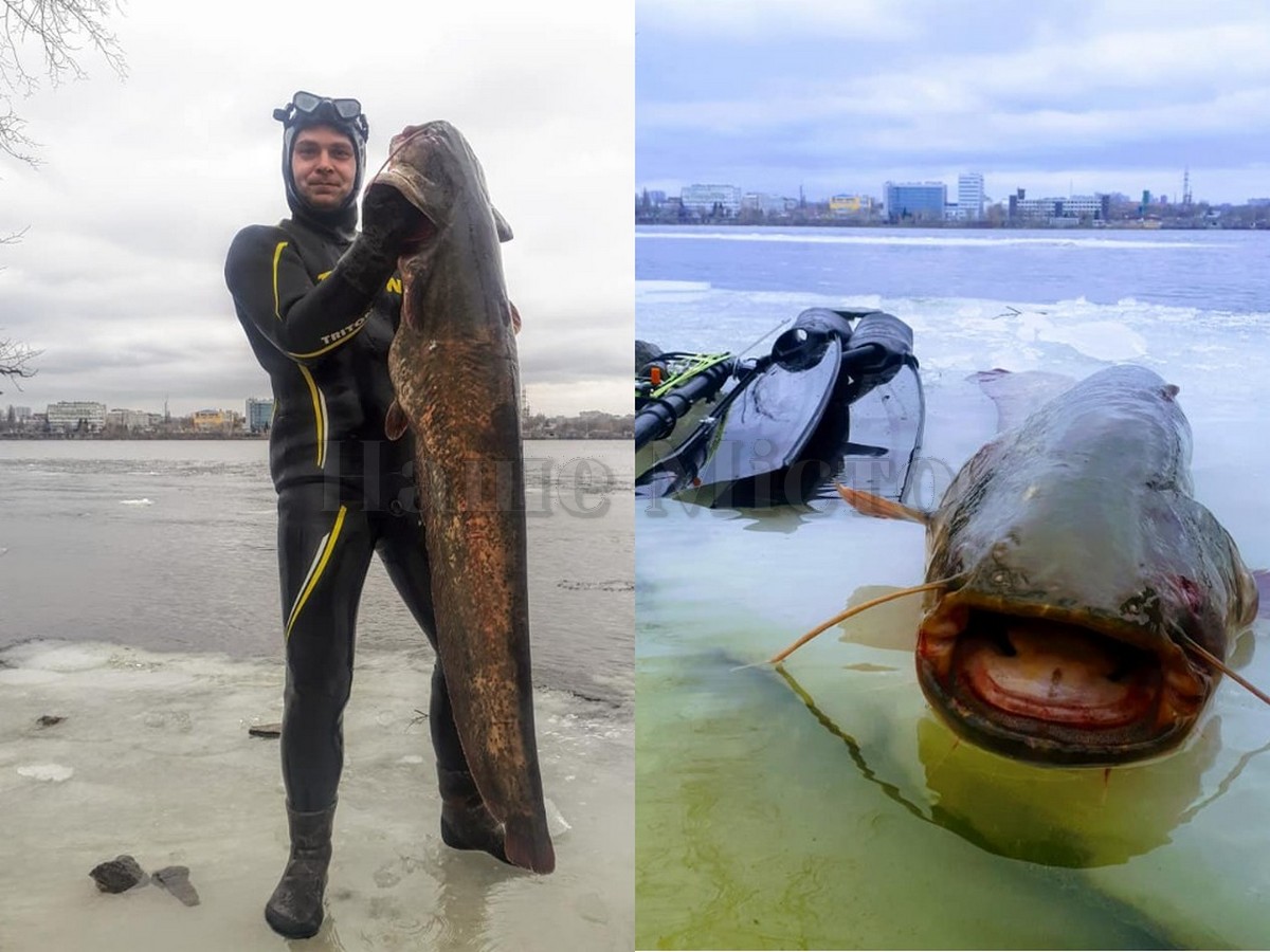 Новости Днепра: рыбак поймал гигантскую рыбу-убийцу